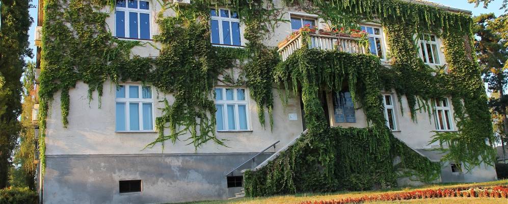 
            Фотография Кутины