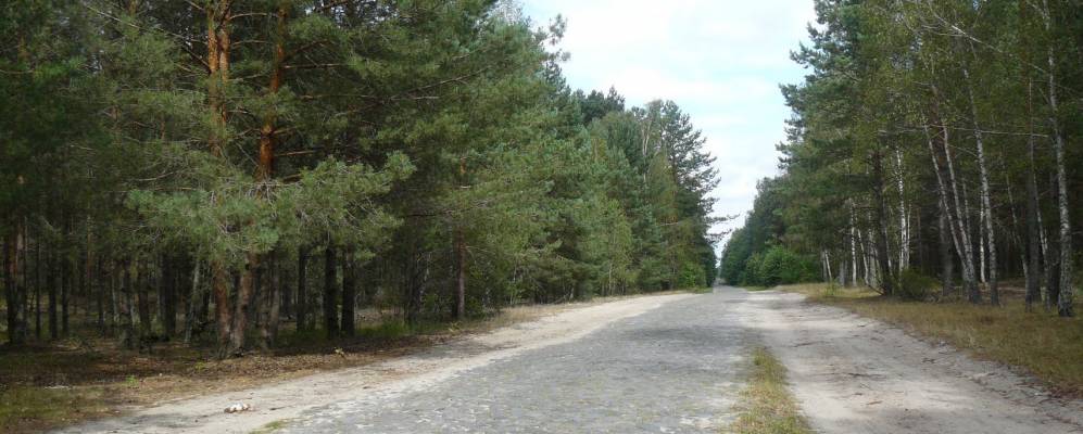 
            Фотография Сукачи