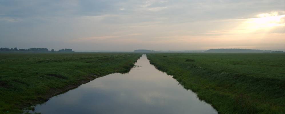 
            Фотография Заречицка