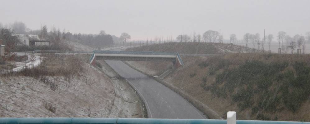 
            Фотография Кривица