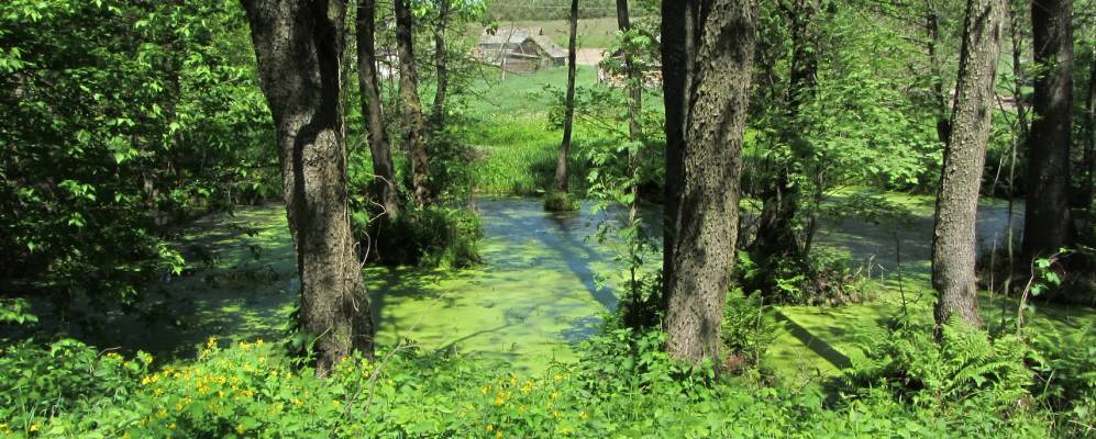 
            Фотография Шептаки