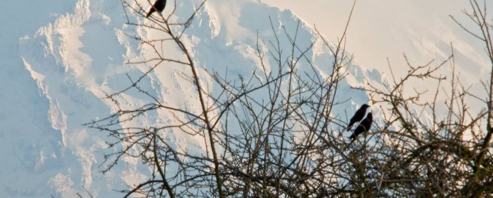 
            Фотография Воллера