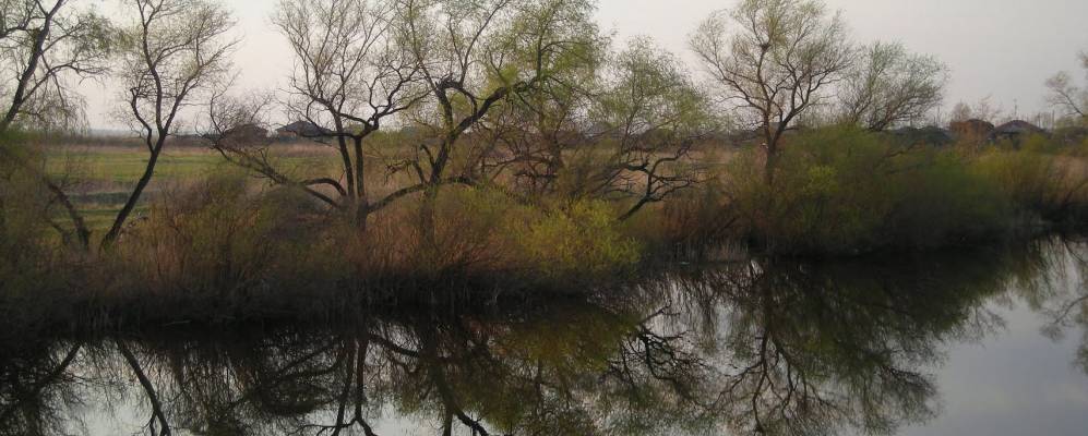 
            Фотография Плотниково