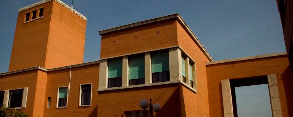 
            Фотография Понтинии