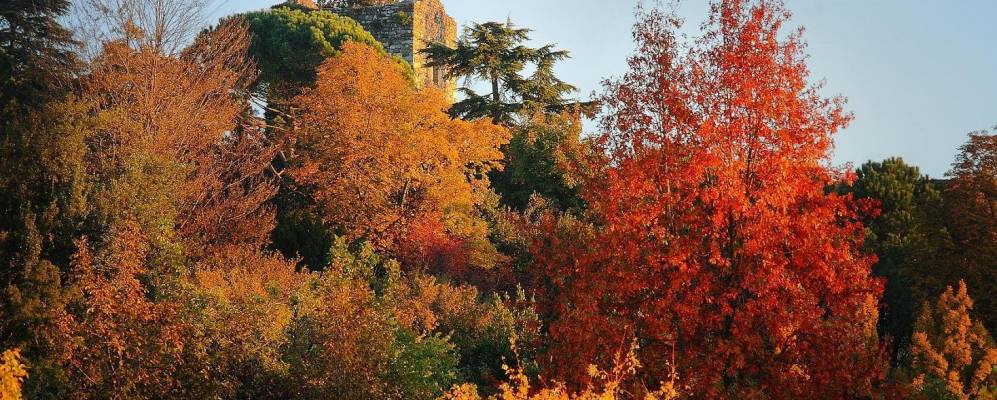 
            Фотография Бардзано