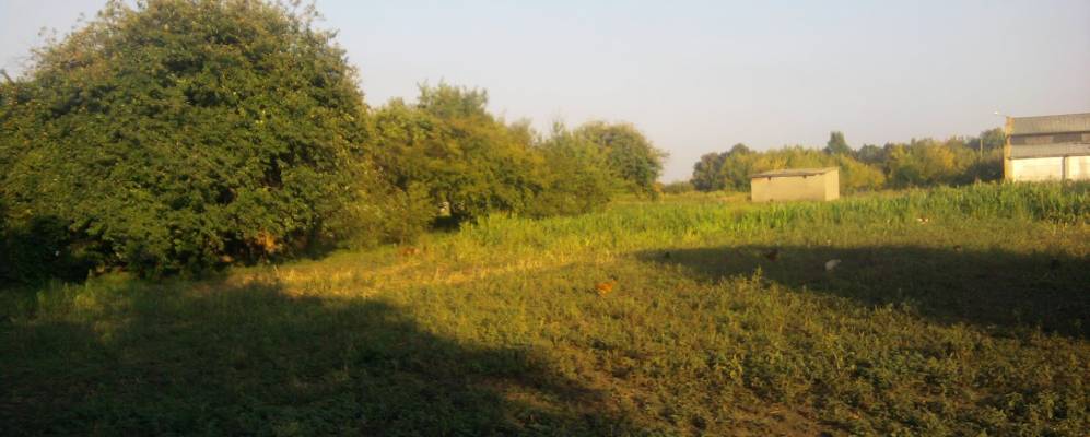 Фотография Филенково