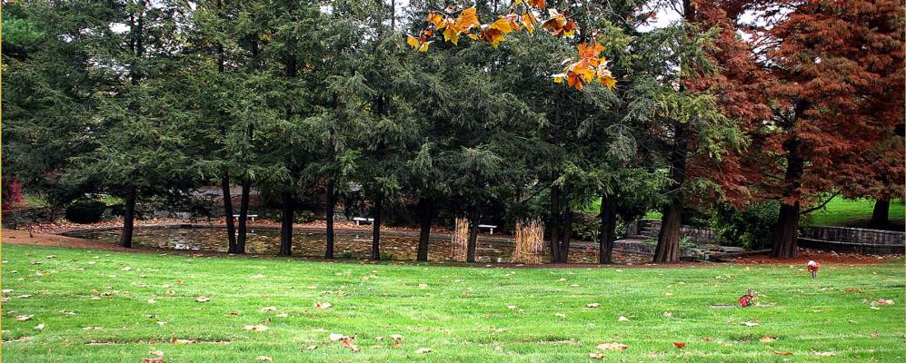 
            Фотография Болдуина