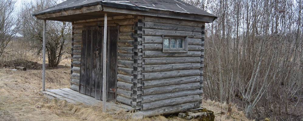 
            Фотография Забродья