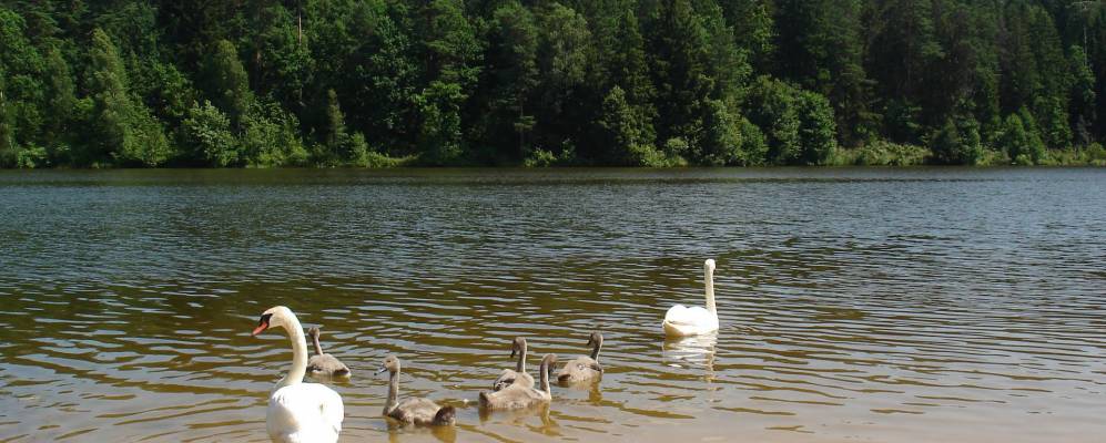 
            Фотография деревни Зеневичи