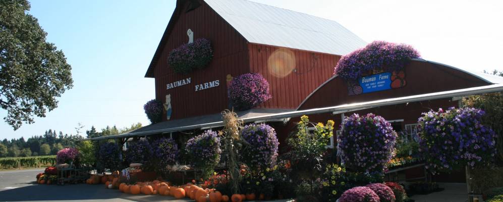 
            Фотография Джервэйса