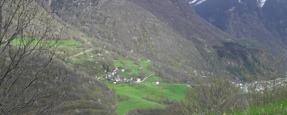 
            Фотография Оливона