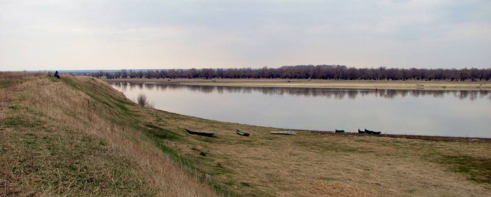 
            Фотография Копейкино