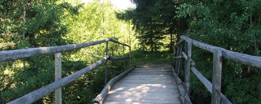 
            Фотография Сюзьвы