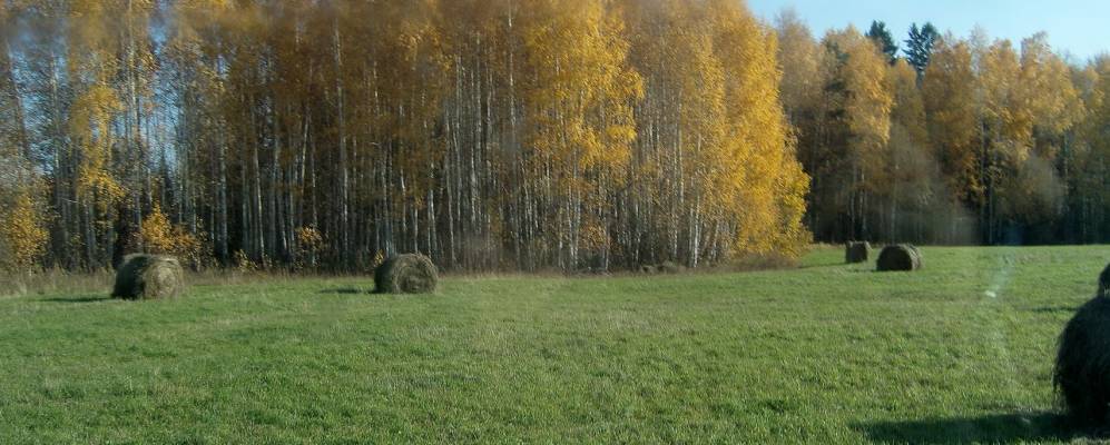 
            Фотография Пикпильды