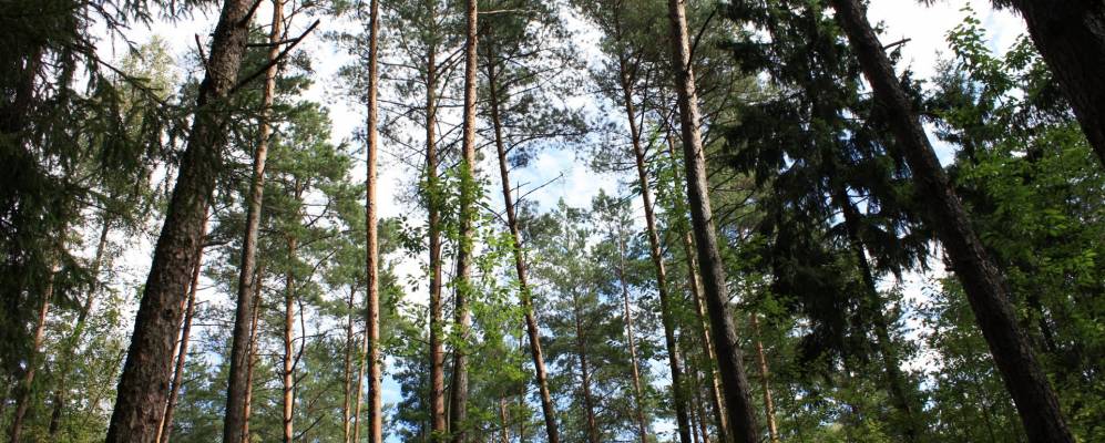 Фотография Поротьково