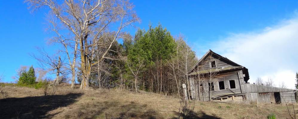 
            Фотография Реп