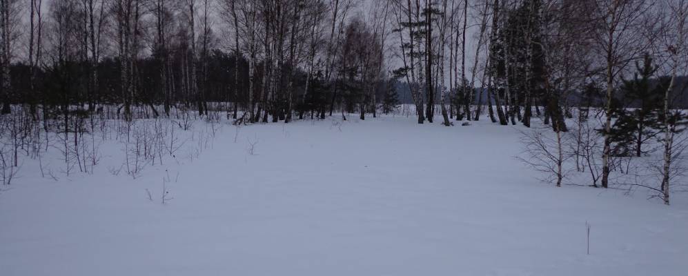 
            Фотография Лясовца