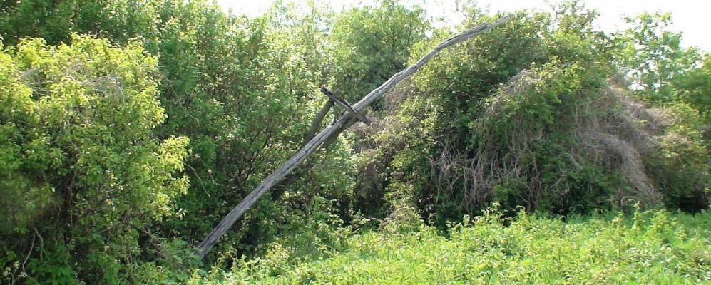 
            Фотография Березняговского