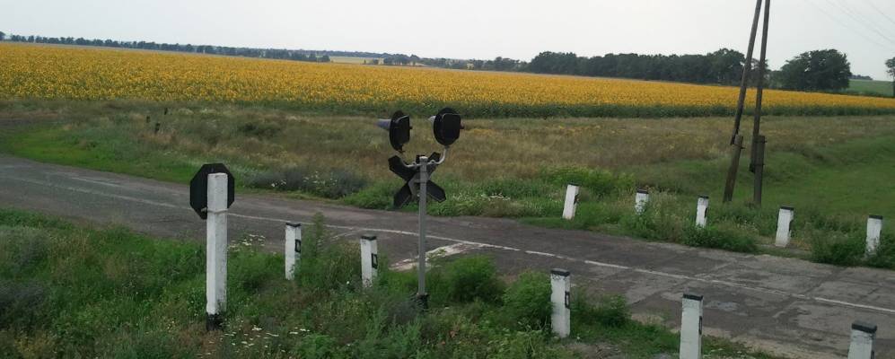 
            Фотография Звезды