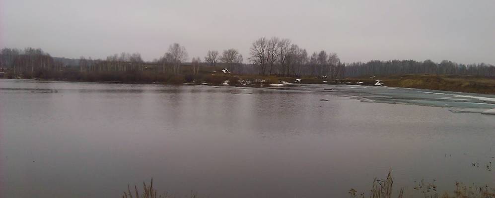 
            Фотография Пчельника