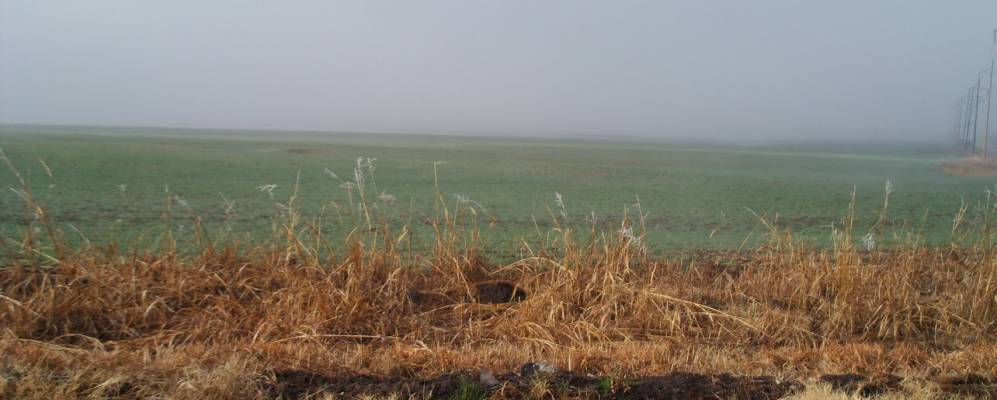 
            Фотография Мидласиана