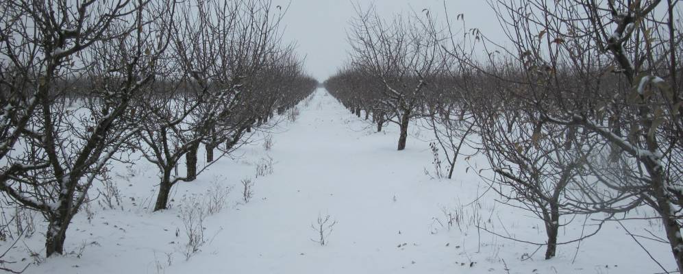 
            Фотография Трудового