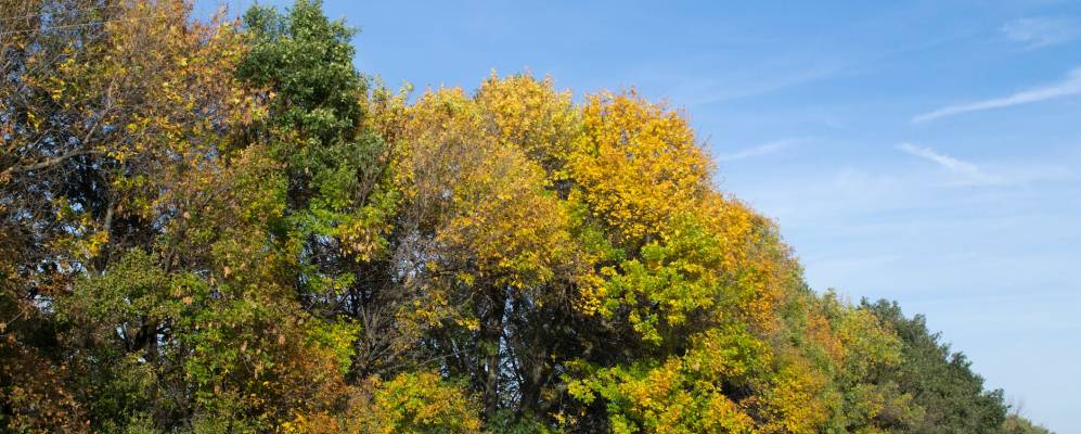 
            Фотография Калиновки