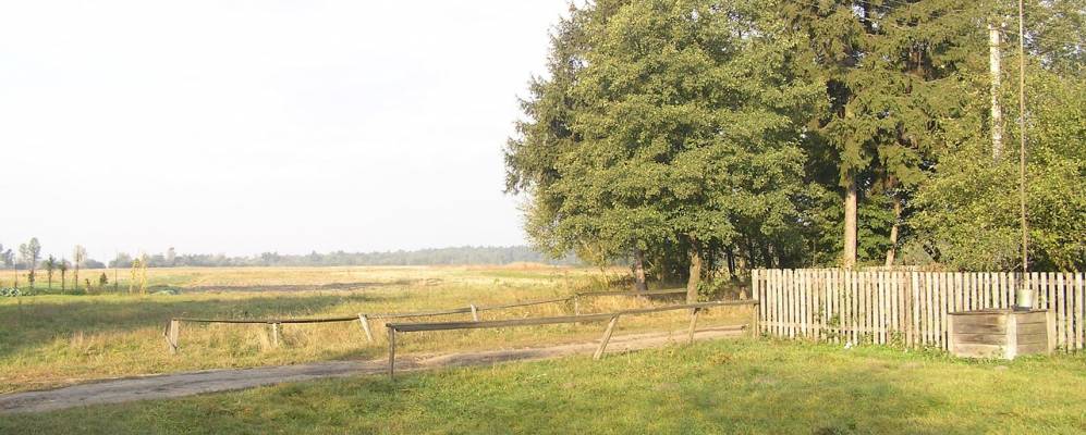 
            Фотография Купичволи