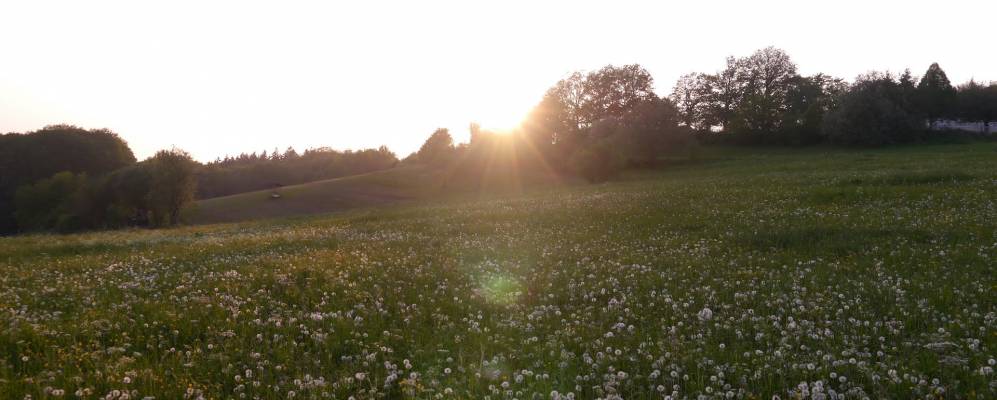 
            Фотография Райффершайд