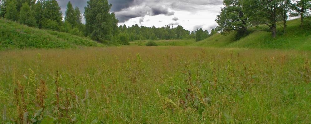 
            Фотография Трактового