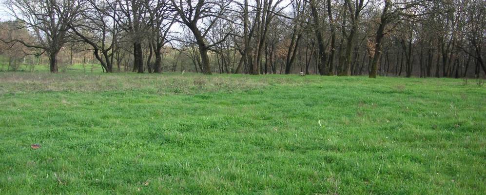 Фотография Спианате