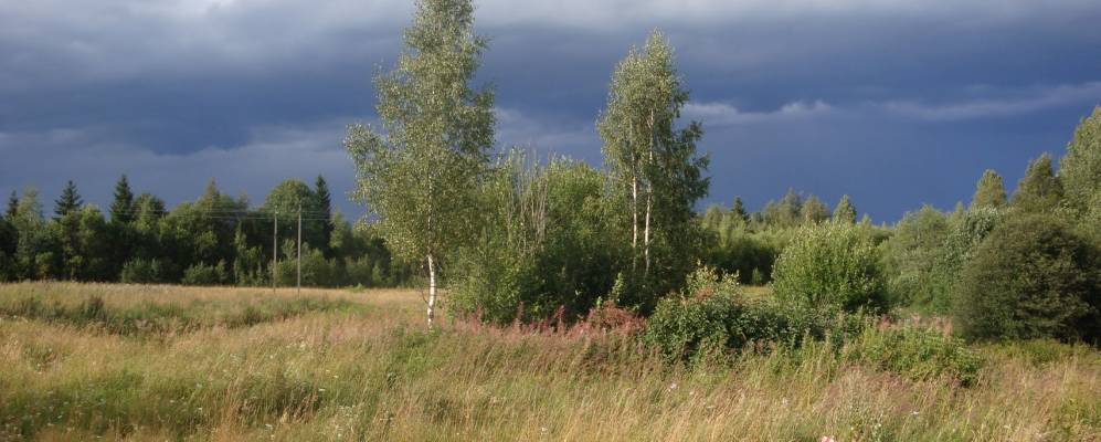 
            Фотография населенного пункта Пожары