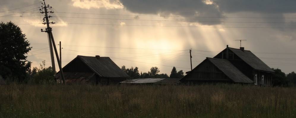 
            Фотография Чисти