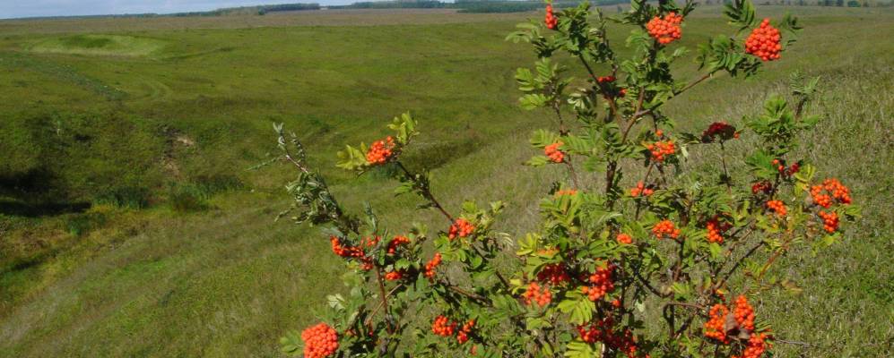 Фотография Новоспасского