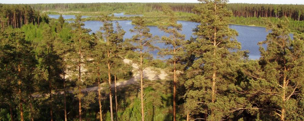 Фотография Белого Берега