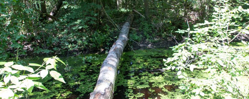 
            Фотография деревни Куты