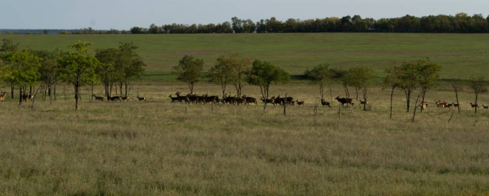 
            Фотография Радостного