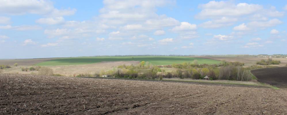 Фотография Малиновки