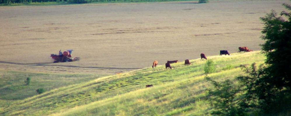 
            Фотография Чистополя