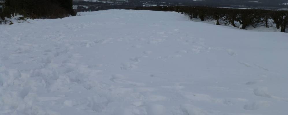 
            Фотография Адлингтона