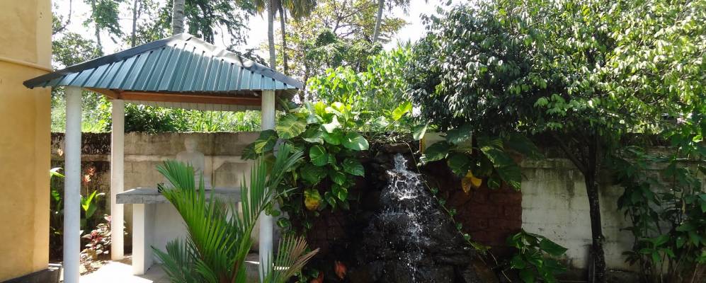 
            Фотография Пелиягоды