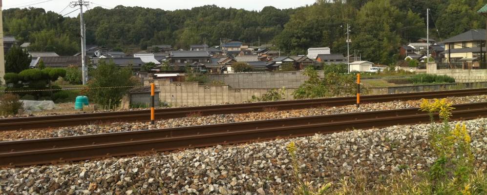 
            Фотография Камогаты