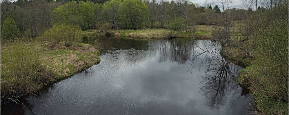
            Фотография Чечевино