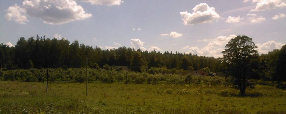 Фотография Скрощины