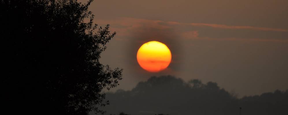 
            Фотография Визерна