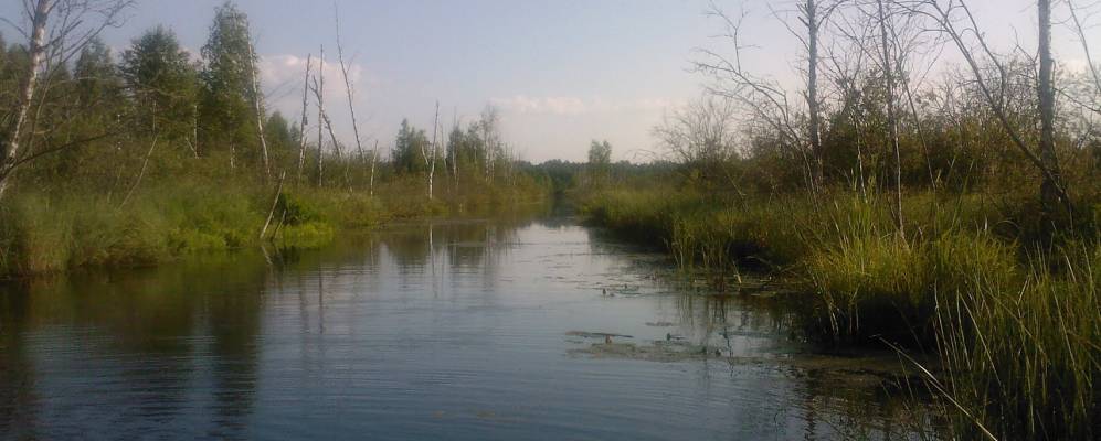 Фотография Якубово