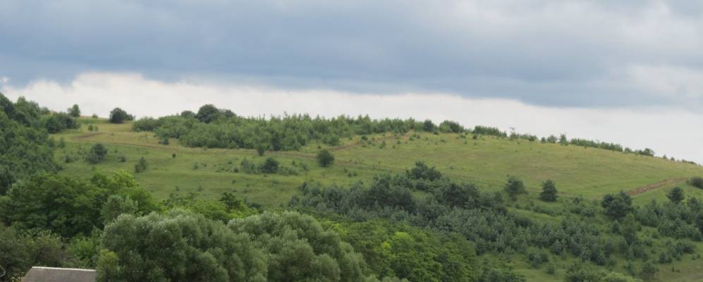 
            Фотография Подусельны