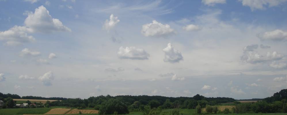 Фотография Антоновки