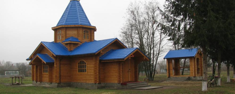 
            Фотография Сухолески