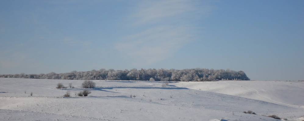 
            Фотография Ивановцы